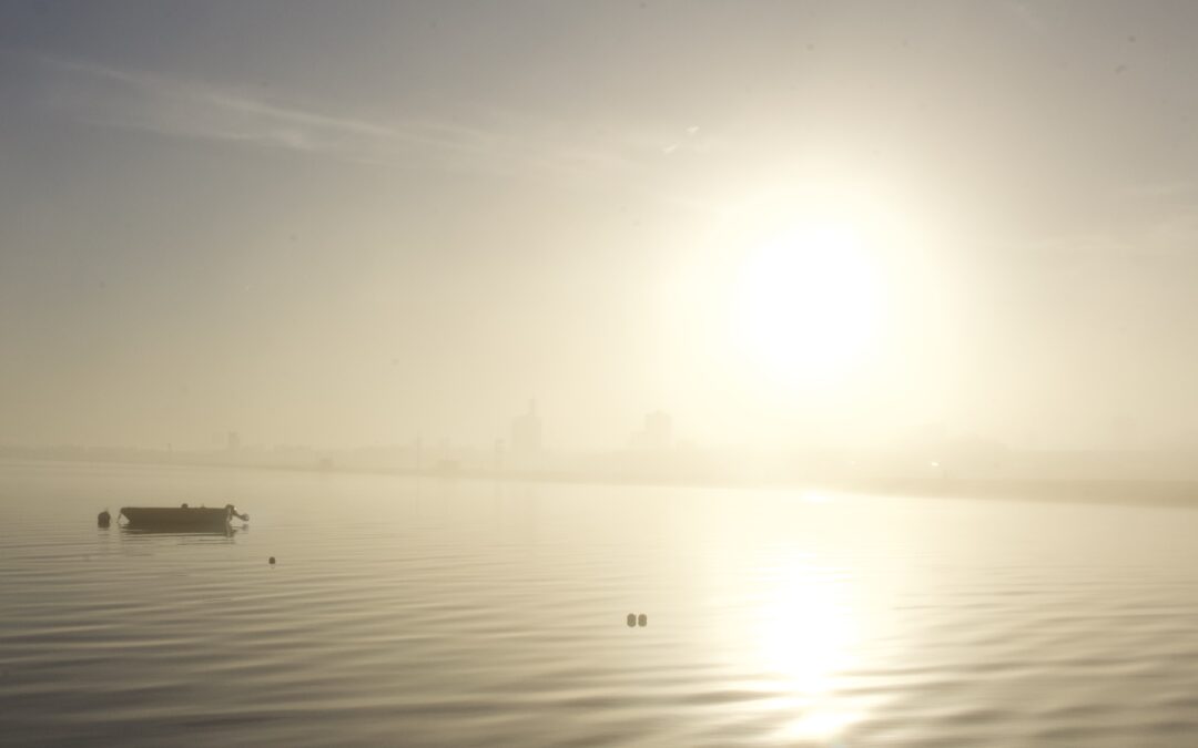 Docklands Head 2025: Highlights the Spirit of Rowing in East London